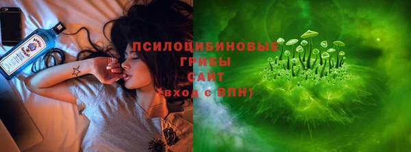 прущий лед Бронницы